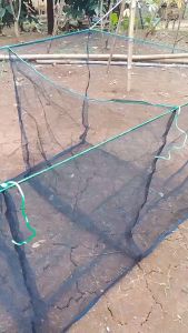 Keramba Ikan Sekat Hapa Jaring Apung Bahan Waring Ukuran 3m x 1m x 1m