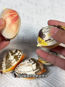 ของเล่นแปลกใหม่จําลองหอยปืนฉีดน้ําของเล่นหากินเด็กฤดูร้อนกลางแจ้งเล่นน้ําอุปกรณ์ประกอบฉาก