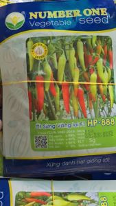 Hạt Giống Ớt Sừng Vàng F1 number one hp 888