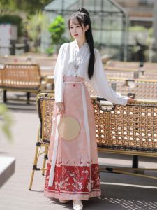 Original Hanfu Set Female Ming Dynasty Style Fairy Atmosphere Spring Summer New Arrival Horse Tailed Skirt Traditional Chinese Costume