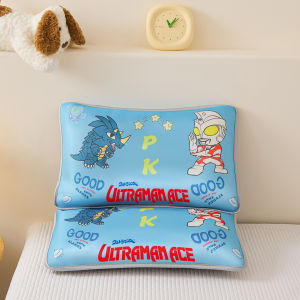 Removable Pillowcase Childrens Pillow