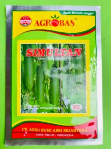 Benih Timun Ketimun Mentimun Hibrida F1 SIMULTAN kemasan 25gram dari Agrobas