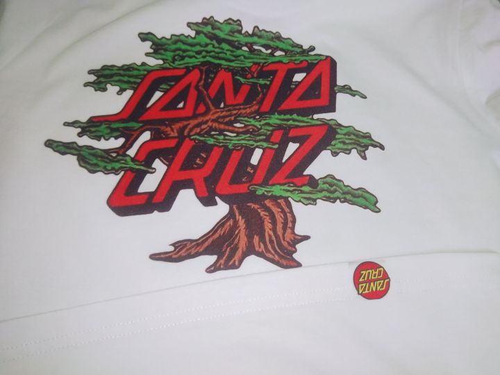 Santa Cruz Bonsai inspired by Daniel Padilla Lazada PH