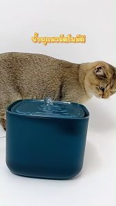น้ำพุแมว บรรจุ3ลิตร น้ำพุสัตว์เลี้ยง ถังให้น้ำสัตว์เลี้ยง เครื่องกรองน้ำสัตว์เลี้ยง แบบอัตโนมัติ เสียงเงียบ มีแผ่นกรงขาย พร้อมส่ง