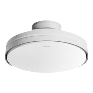Bull | Leafless Fan Light for Dining Room Bedroom and Childrens Room Ceiling