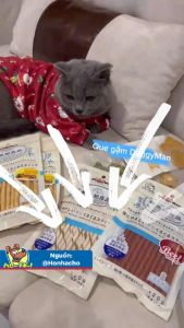 Que Gặm DoggyMan 120gr – Vị Sữa / Phô Mai / Bò Thơm Ngon Cho Chó Yêu – Thưởng Ngon Răng Khỏe Giảm Stress