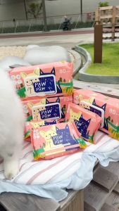 [ยกลัง10+2แพคใหญ่] พอว์พอว์ ผ้าเปียกสัตว์เลี้ยง เส้นใยธรรมชาติ เช็ดทำความสะอาดสุนัขและแมว (80 แผ่น) PAWxPAW ผ้าเปียกพอว์พอว์