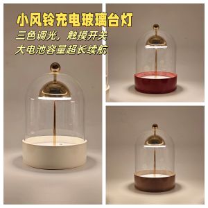 Modern Simplicity Glass Bell DIY Eternal Flower Table Lamp Three-Color Dimming Touch Switch USB Charging Home Decor Accessories