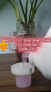 Nước giặt xả SINH HỌC SONA 3.2L đậm đặc lưu hương 24h áo quần mềm mại hương thơm thanh mát tự nhiên