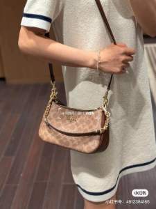 Coach Teri Small Chain Two Way Bag
