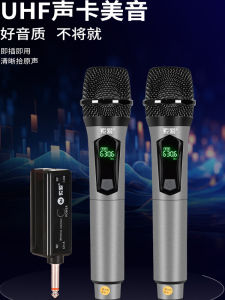Professional Grade Wireless Metal Microphone One Drag Two Karaoke Microphone Family Cinema KTV Special Use Handheld Microphone