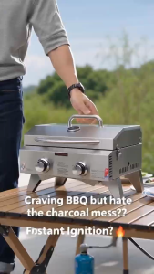 Outdoor Portable Propane Gas BBQ Grill 2‑Burner Stainless Steel Tabletop Barbecue Cooker with Lid for Camping Backyard