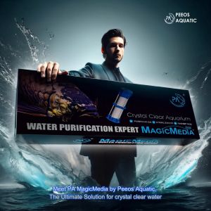 MagicMedia PA crystal water penjernih akuarium hilang air hijau dan air keruh sesuai semua ikan Arowana 金龙鱼 空气缸 净化绿水 清水