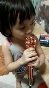 BETA Microphone Karaoke BETA 77A Dynamic Heavy Duty Wired Professional karaoke audio speaker