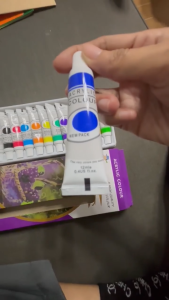 12 Colors Acrylic Paint Set - High Quality Non-Toxic Tubes for Art & Crafts