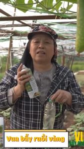 Keo Dính Bẫy Ruồi Vàng - VUA BẪY RUỒI VÀNG - Dung tích 450ml - Hàng Việt Nam chất lượng cao