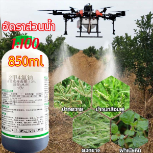 💥80 ปี ปลอดวัชพืช💥เข้มข้นสุดๆ ยาฆ่า หญ้า 900มลไม่เป็นอันตรายต่อพืชผล ยากำจัดวัชพืช ตรงไปที่ราก ฆ่าแรง ไม่ทำร้ายดิน ยาฆ่าย่า ย่าฆ่าหญ้า ยาฉีดหญ้า กำจัดวัชพืชได้ทุกประเภท อัตราการกำจัดวัชพืช 99.99% รากเน่าเร็ว