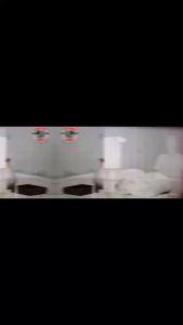 Electric Foam Sprayer for Dog Bath - Perfect Dog&Cat Bathing Supplies - Great Dog Shower Attachment and Dog Wash Tool