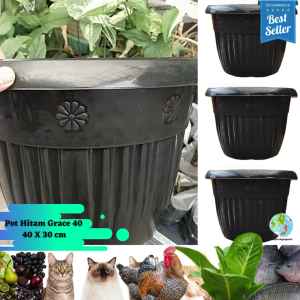 Pot Hitam 40 Grace High Quality