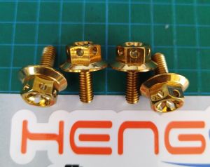 4 PIECES OF BIG HEAD BODY BOLTS FOR MOTORCYCLE (M6X15)
