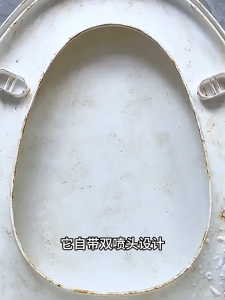 laoguanjia Heavy Duty Stain Remover Toilet Bowl Floor Bathroom Cleaner Cement Tile Mop Sabun Lantai Badang 500ML
