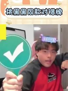 JIFANPAUL | Photo Prop Right Wrong Sign Hand Fan