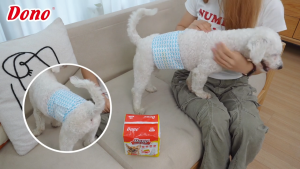 DONO Dog Diapers Soft Disposable Pet Diapers with Curved Tail Hole for Male and Female Dogs