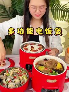 [Phích cắm dẹt] Nồi Điện Đa Năng Dành Cho Bé Kích Thước Nhỏ