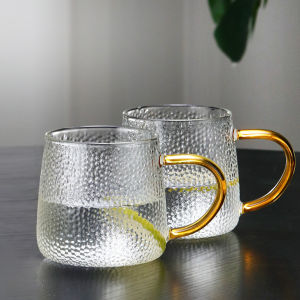 Heat-Resistant Durable Chilled Water Pitcher