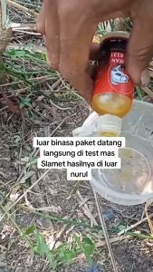 Essen Ikan Super RS31 Ampuh 65 ml- Essence Untuk Segala di Laut Tambak Sungai dan Berbagai Event Galatama Galapung Super Ampuh