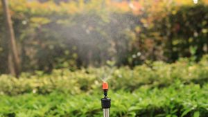 Combo 10 béc phun sương 1 cửa nhựa tưới lan cây cảnh kèm khớp nối ren 21mm