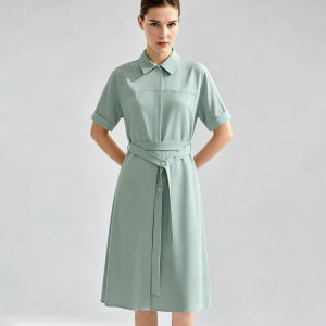 AMII | Commuter Style Turn-Down Collar Loose Belted Dress