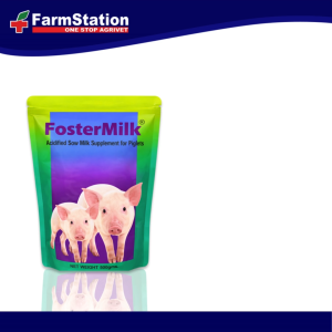 Foster Milk 500gms / Milk Supplement