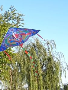 1 Meter Cartoon Kite with Handle Line Curved Childrens Kite Flying Toy Easy Control Kuromi Melody Stellalou Kite Outdoor Toys Triangular Kites Toys