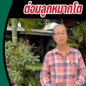 ปัสสาวะบ่อยโดยเฉพาะตอนกลางคืน ปัสสาวะไม่ออกเฉียบพลัน ปวดปัสสาวะรุนแรงมาก ให้ ด็อปปิโอ้ DOPPIO ดูแล