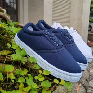 giày vải asia học sinh BÉ TRAI BÉ GÁI 9 tuổi trở lên