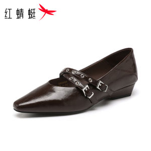 Reddragonfly | Soft Leather Retro Style Mary Jane Low Heels Comfortable Womens Shoes