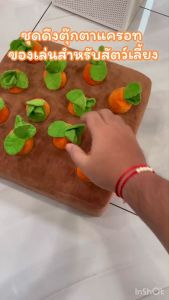 LK372 ชุดดึงตูกตาแครอทเพราะหลุมของเล่นสัตว์เลี้ยง P14-3