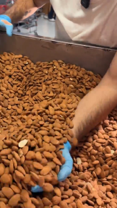Freshly Roasted Salted Almonds | 250g 500g and 1kg