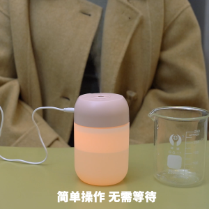 USB Mini Humidifier with LED Night Light Charging Portable 260ML Large Capacity Silent Leakproof Mist Maker for Home Car Aroma Diffuser 加湿器夜灯