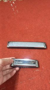 Kèn Harmonica thiên nga chính hãng SW24-4 Tone C 24 lỗ. Kèn 10 lỗ 20 tone C hòa âm thực hành