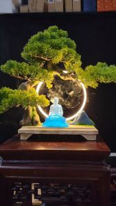 Bộ Tiểu Cảnh Kệ Cây Bonsai và Đèn LED Vòng Hào Quàng Tượng Gốm - Trang Trí Nhà Cửa Góc Làm Việc