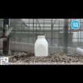 COD TOVIA 2 LITER ALAT SEMPROT Botol Penyemprot Semprotan Tanaman bunga taman Elektrik Spray cas. 