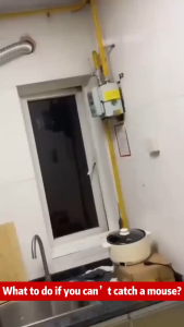 Buy one pack and get ten packs 10PACK Rat Repellent Bait Pest Control Exterminate Rats And Mice Racun Tikus 200x stronger than a cat rat poison killer Rats die outdoors and dont need to be cleaned up rat poison killer