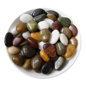 DIANTU | Colorful Natural Stones for Garden Decor