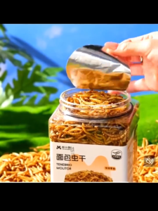 【🔥🔥SG SPOT】Hamster Mealworms Small Pet Treats Bird High Protein Feed 1250ml [Bird / Fish / Pets Food]