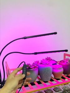 🇸🇬 Plant Grow Lamp Simulate Sunlight With Adjustable LED And Timer  / Grow Light Plant Lights for Indoor Plants