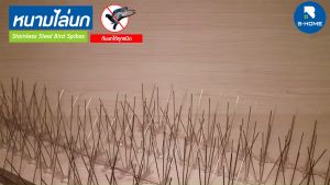 สแตนเลส B-HOME ที่กันนกเกาะ อุปกรณ์ไล่นก ไล่นก เครื่องไล่นก ลวดไล่นก บิดูแลผิวหน้า ซึ่งเป็นการใช้งานง่าย สินค้า สำหรับการป้องกันนกพิราบ หนามไล่นกพิราบ ที่กันนก หนามกันนกพิราบ อุปกรณ์ไล่นกพิราบ หนามไล่นกพิลาบ
