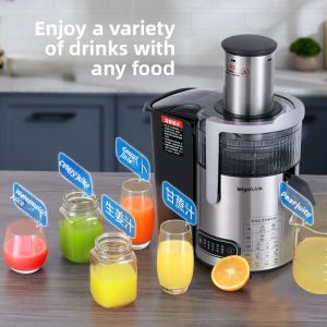 LETGOO | Commercial Juice Extractor With Fiber Separation And Large Feeding Tube