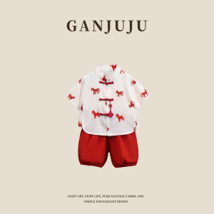 BOGUXIONG | Summer New Chinese Style Boys Set